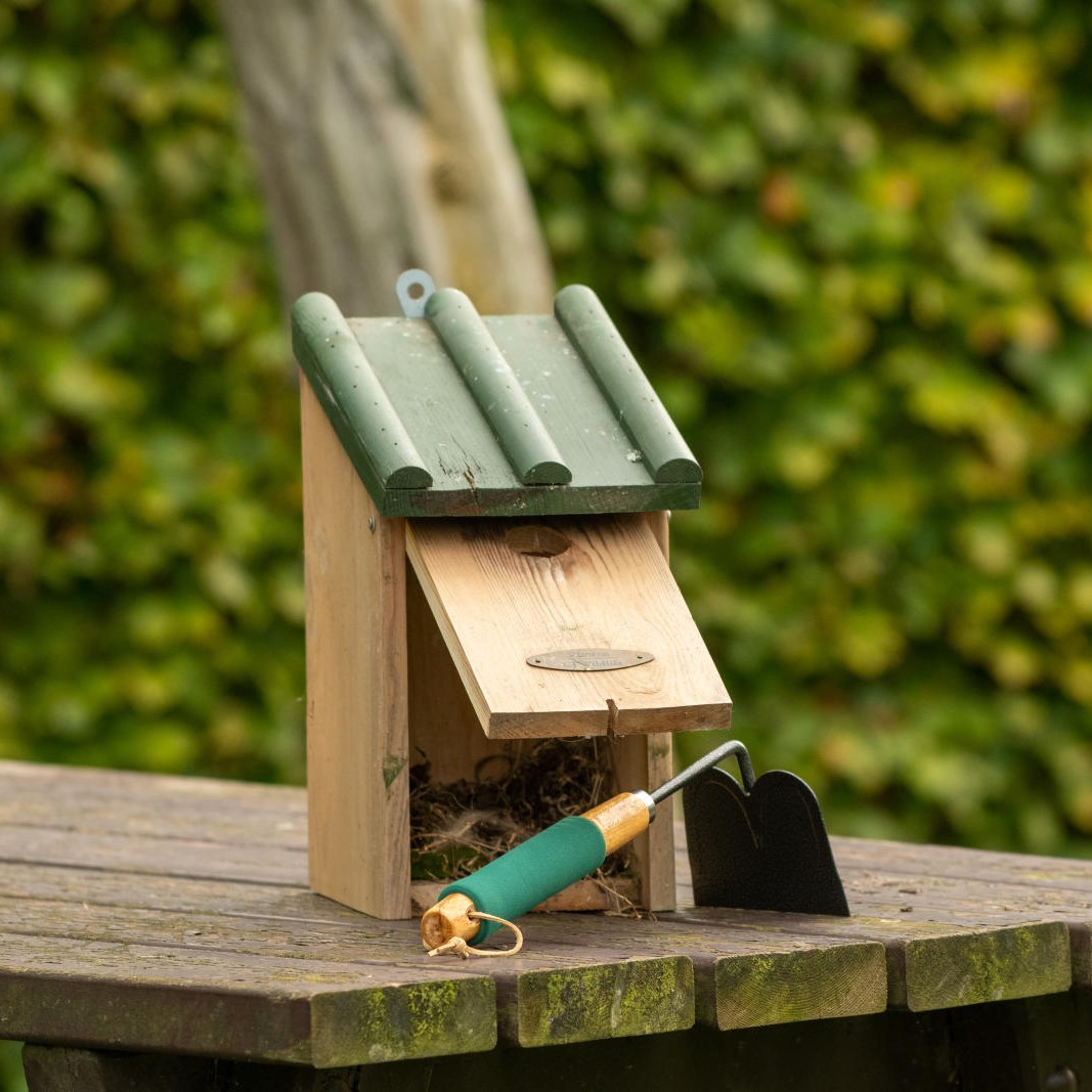 Bird Table & Nest Box Scraper