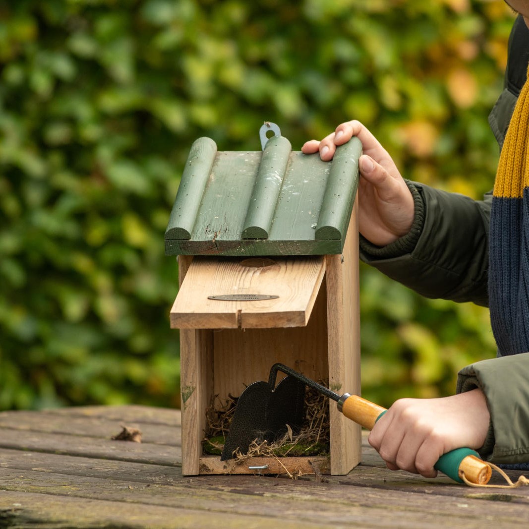 Bird Table & Nest Box Scraper