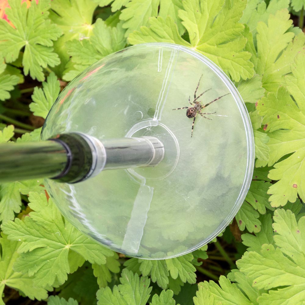 Bug Away Insect & Spider Catcher (long)