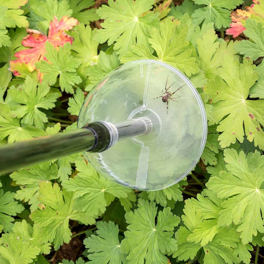 Bug Away Insect & Spider Catcher (long)