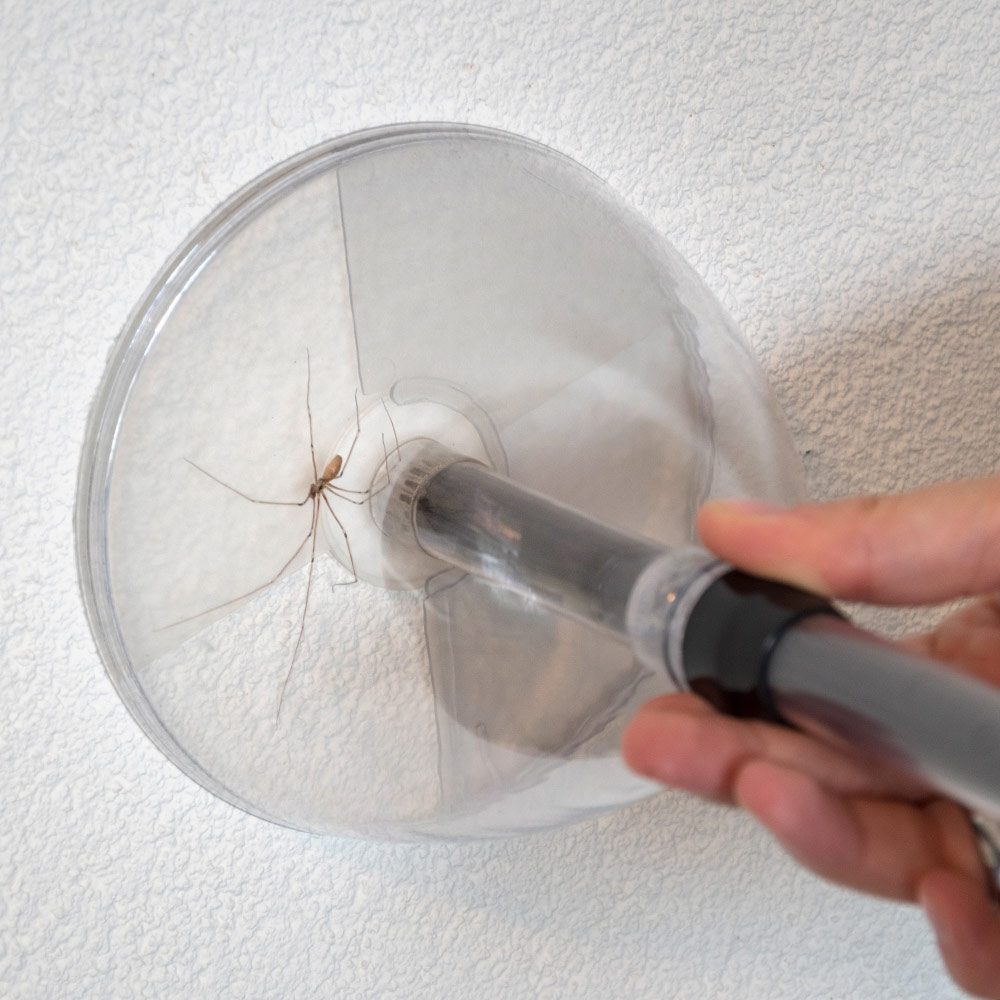 Bug Away Insect & Spider Catcher (short)