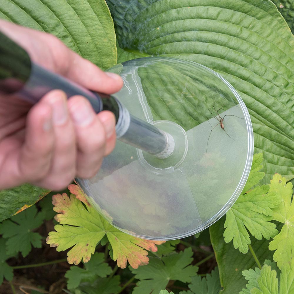 Bug Away Insect & Spider Catcher (short)