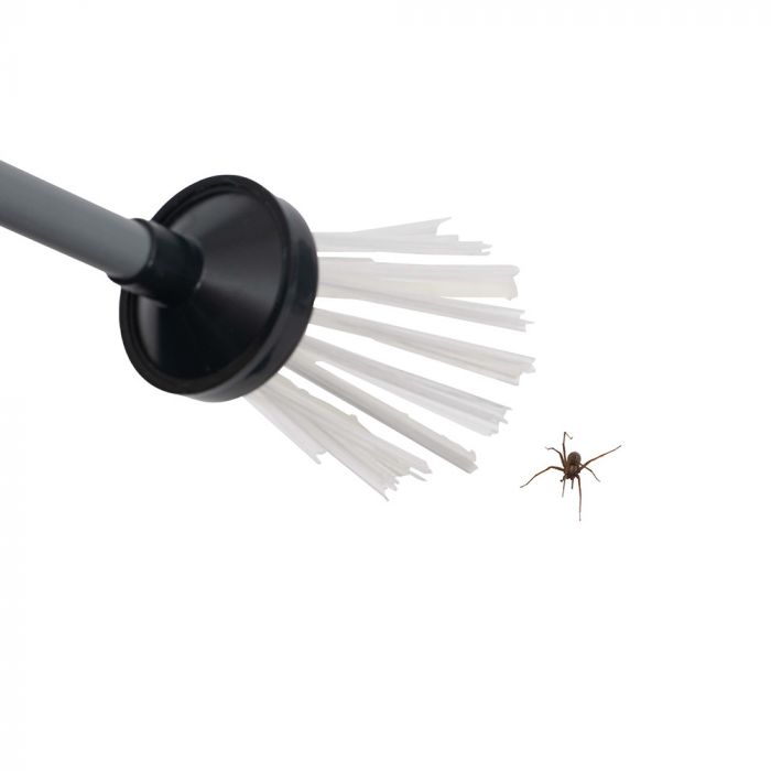 Bug Away Spider Catcher and Insect Remover