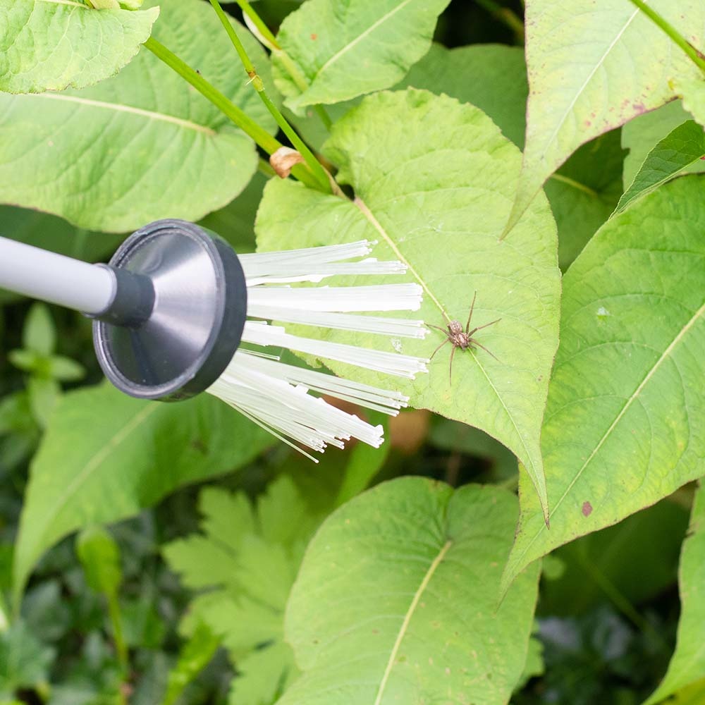 Bug Away Spider Catcher and Insect Remover