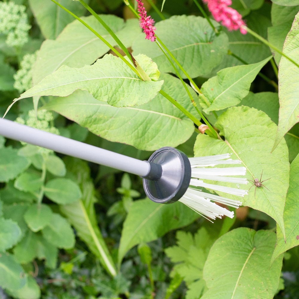 Attrape insectes Brosse