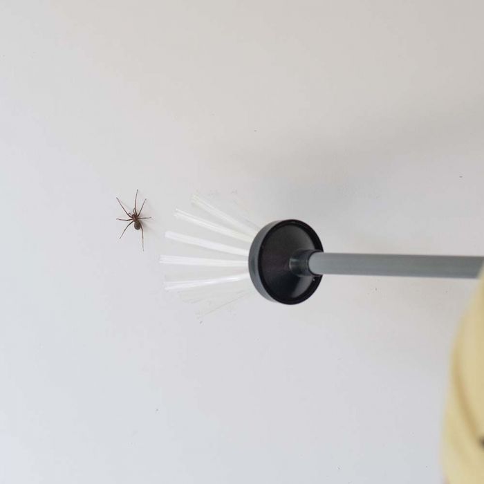 Bug Away Spider Catcher and Insect Remover