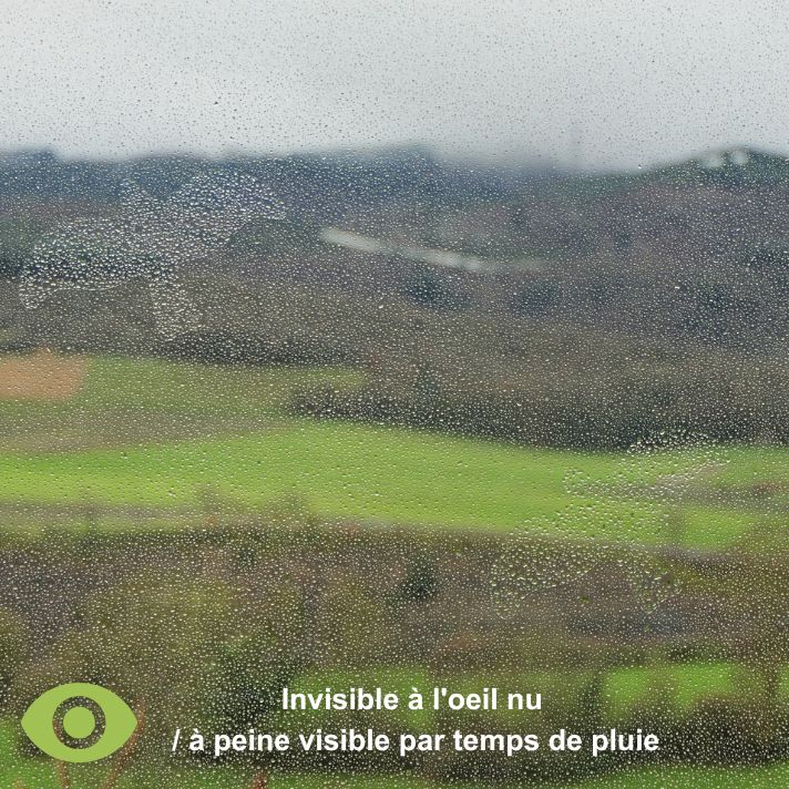 Autocollants Anti-Collisions pour Vitres - Invisibles