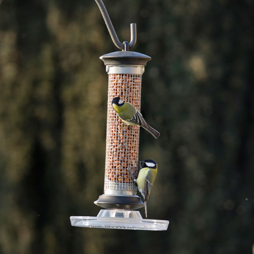 Standard Bird Feeder Tray