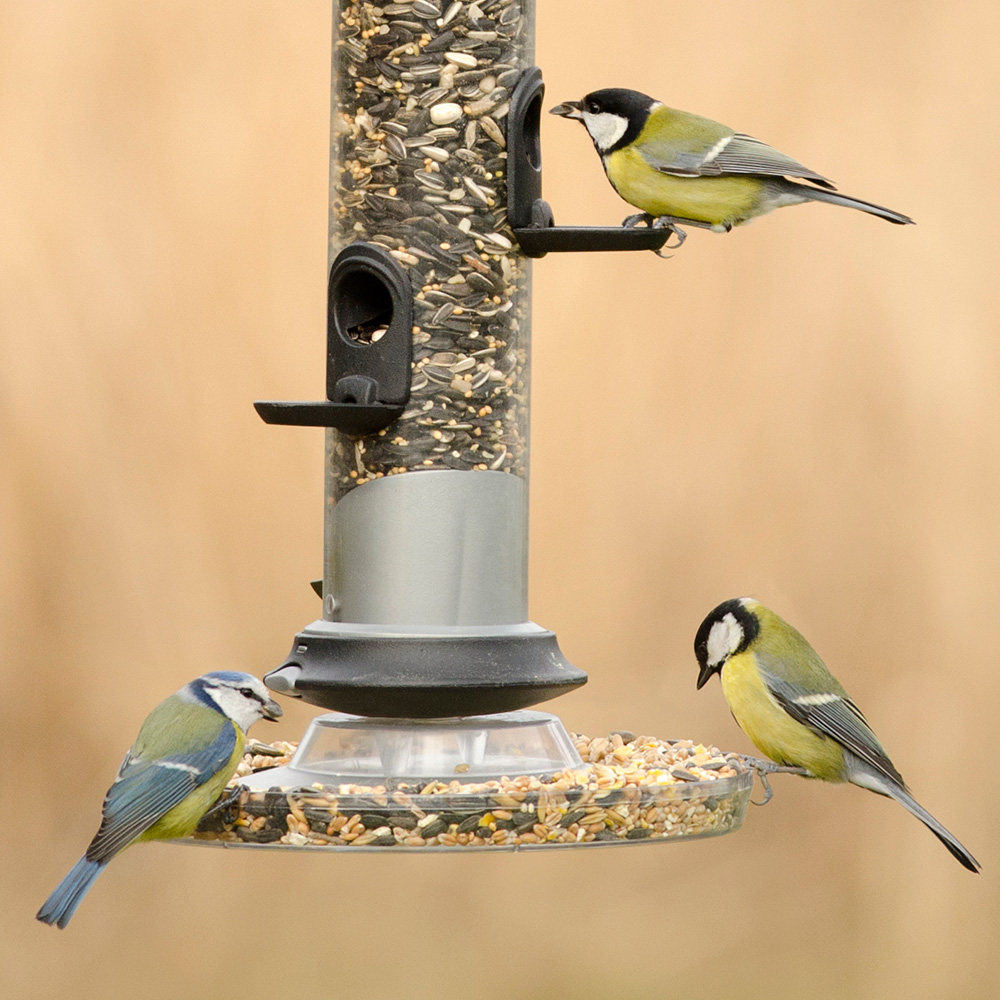 Standard Bird Feeder Tray