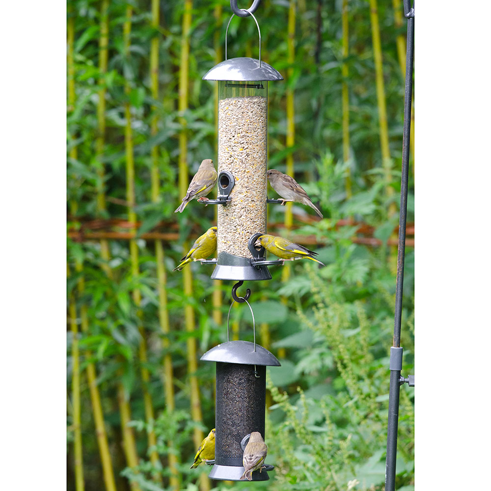 Bird Feeder Link