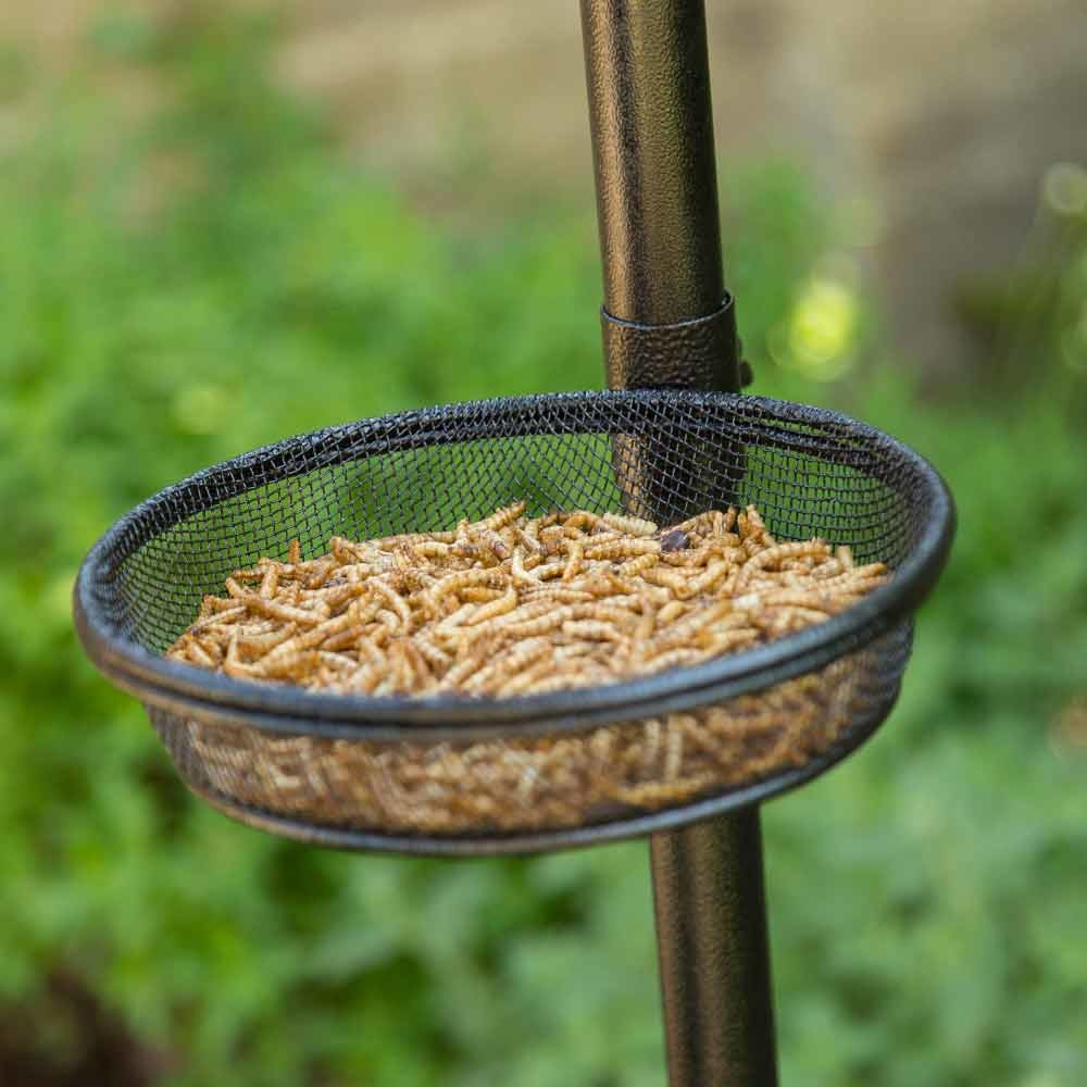 Bird Feeder Pole System - Black