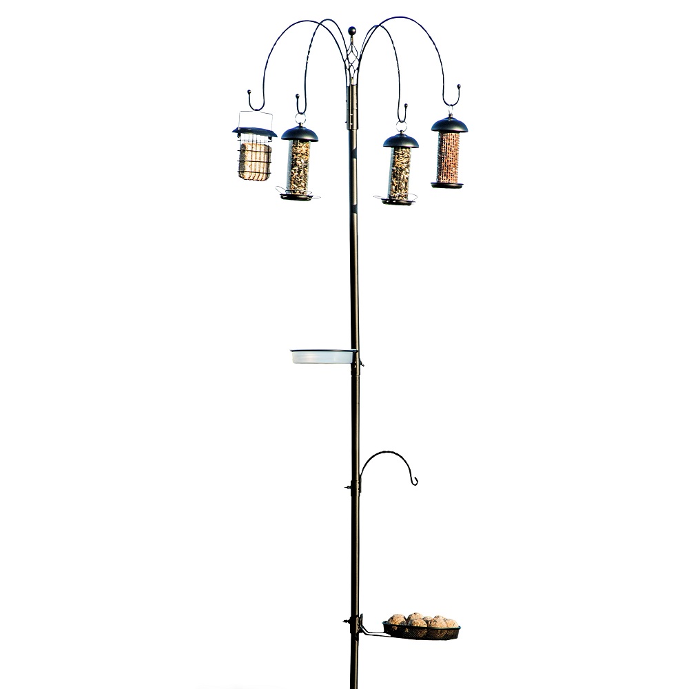 Tambora Bird Feeding Station including feeders