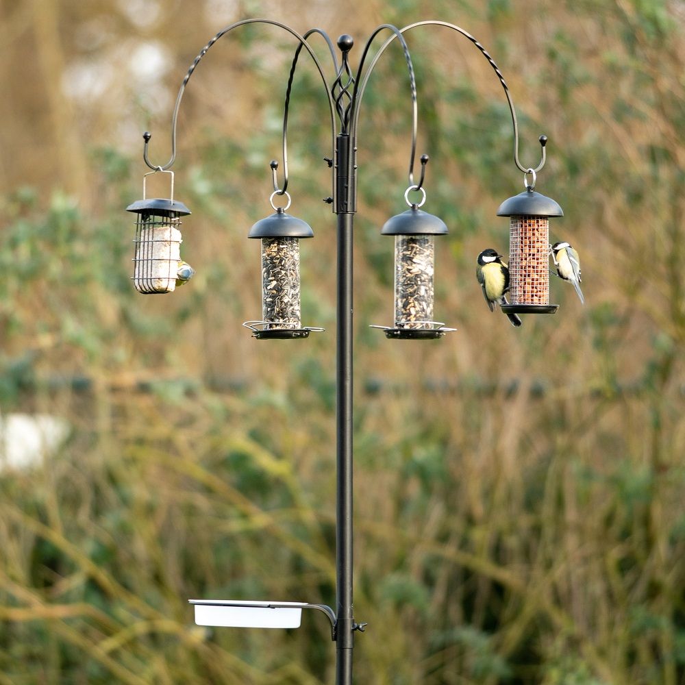 Tambora Bird Feeding Station including feeders