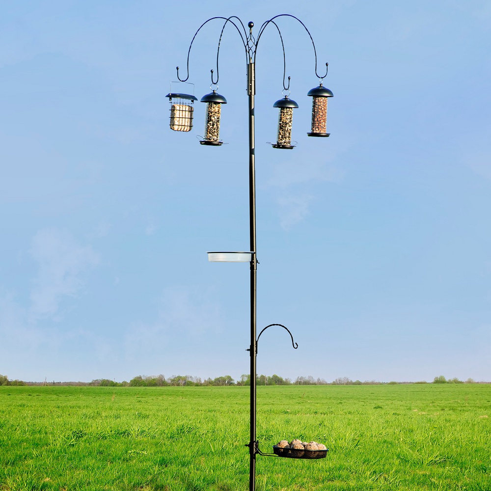 Tambora Bird Feeding Station including feeders