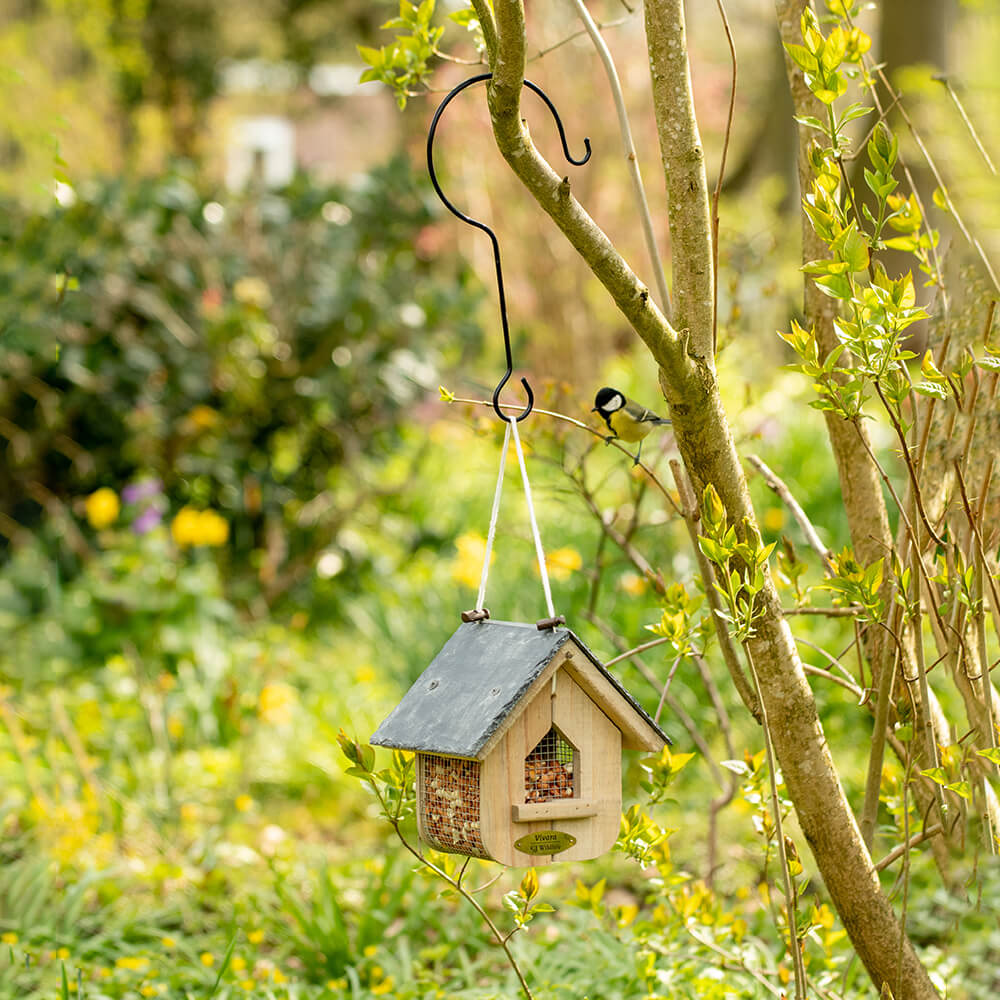 Bird Feeder Tree Hook