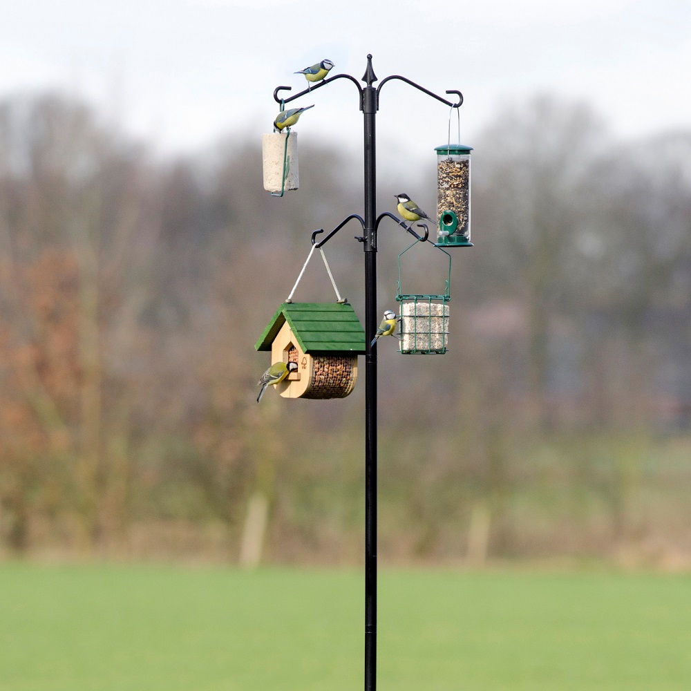 Sunduro Bird Feeding Station