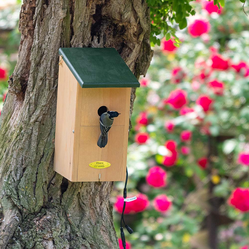 Icarus Nest Box For Camera