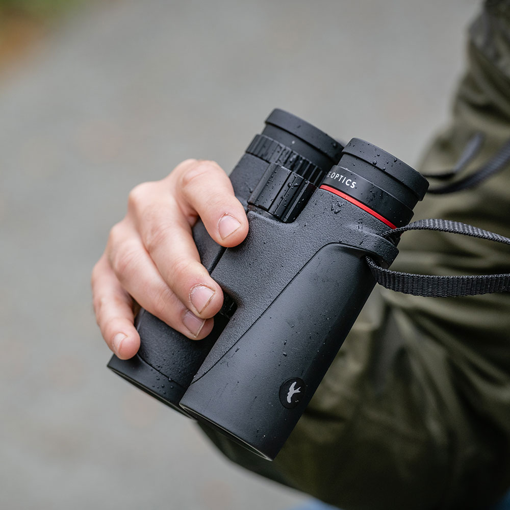 Kite Optic Falke Fernglas 8x32 | Kite Optics