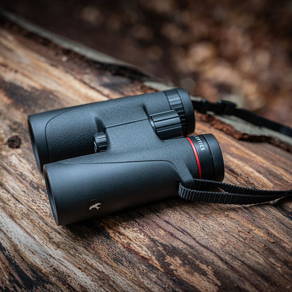 Kite Optic Falke Fernglas 8x32 | Kite Optics