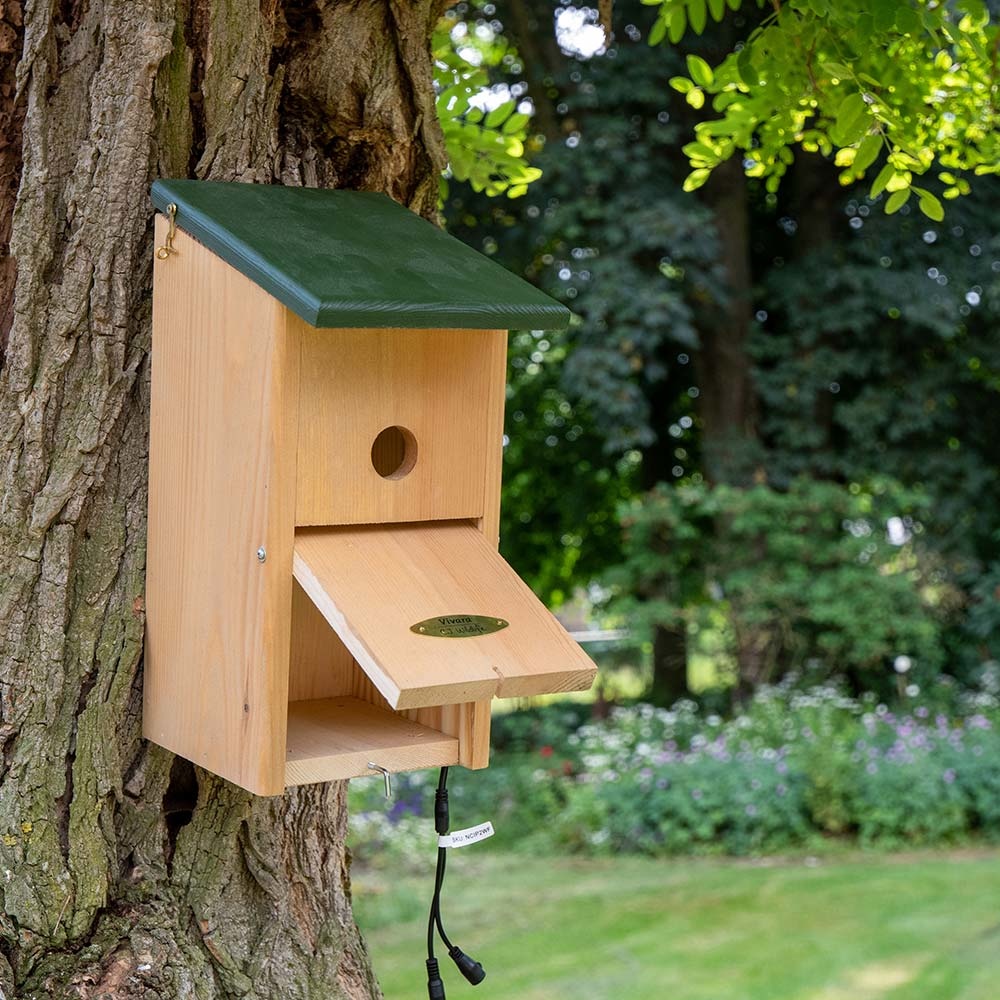 Nest Box with Camera Bundle