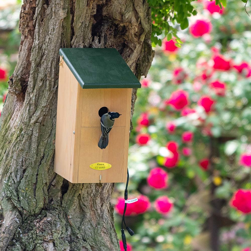 Nestkast met camera