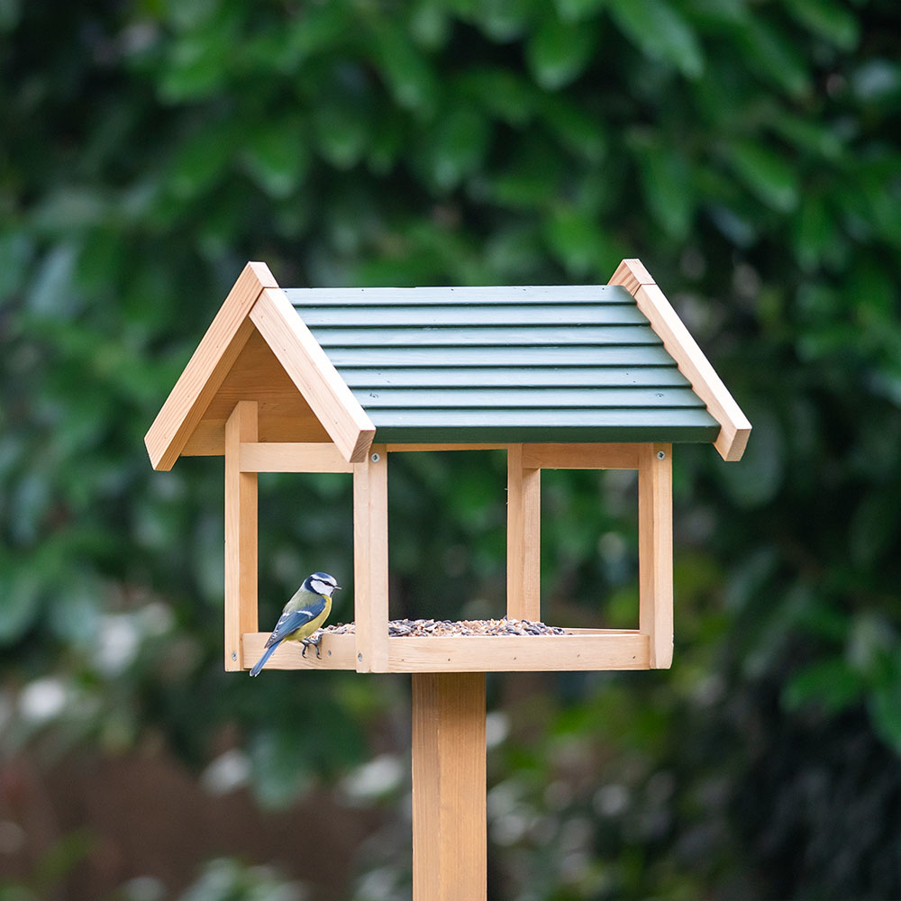 Shaw Bird Table