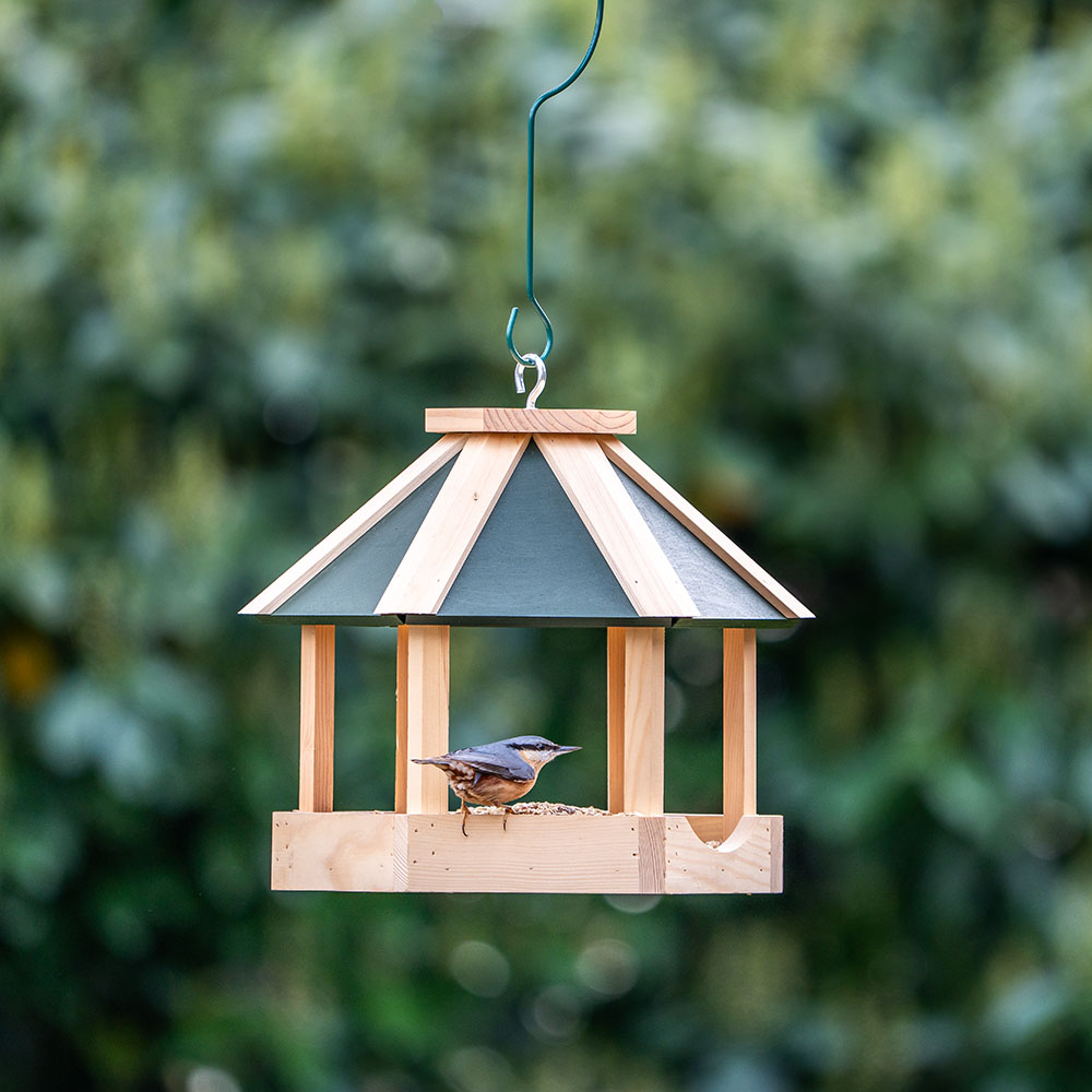 Penn 2-in-1 Bird Feeding Table - Green