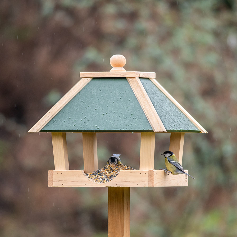 Chevy Bird Feeding Table - Green