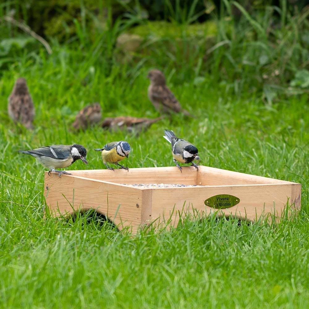 Kandava Ground Feeding Bird Table