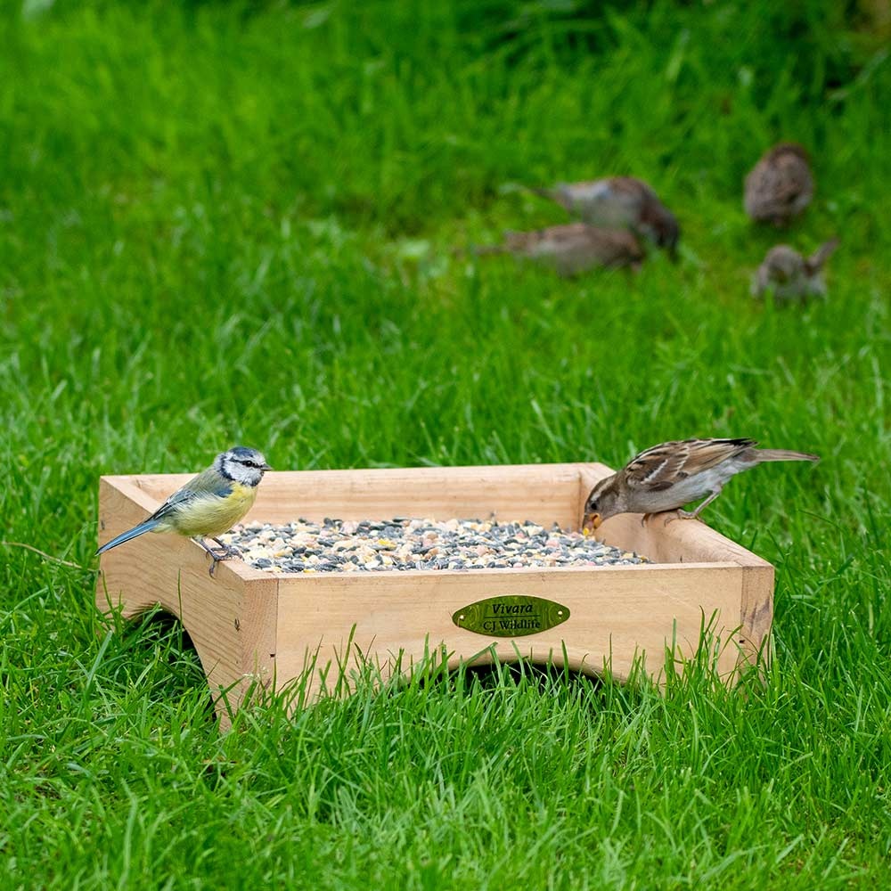 Kandava Ground Feeding Bird Table