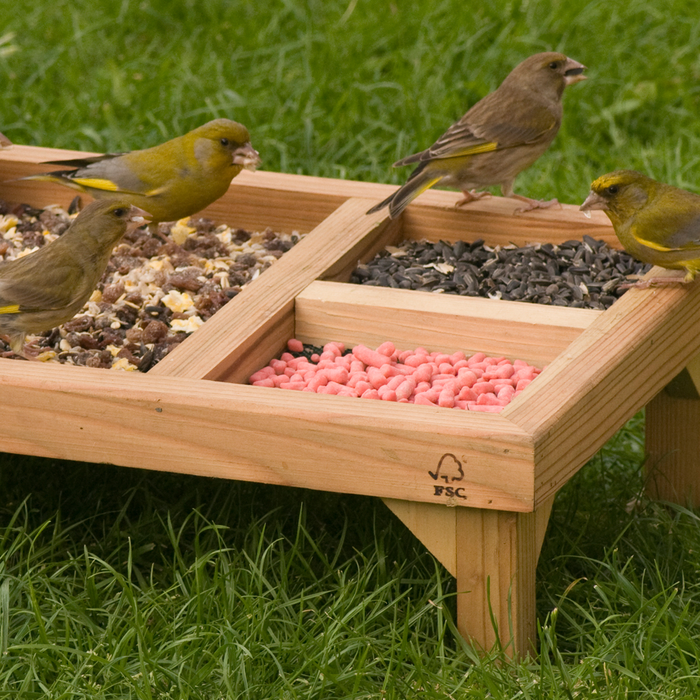 Selection Bird Table