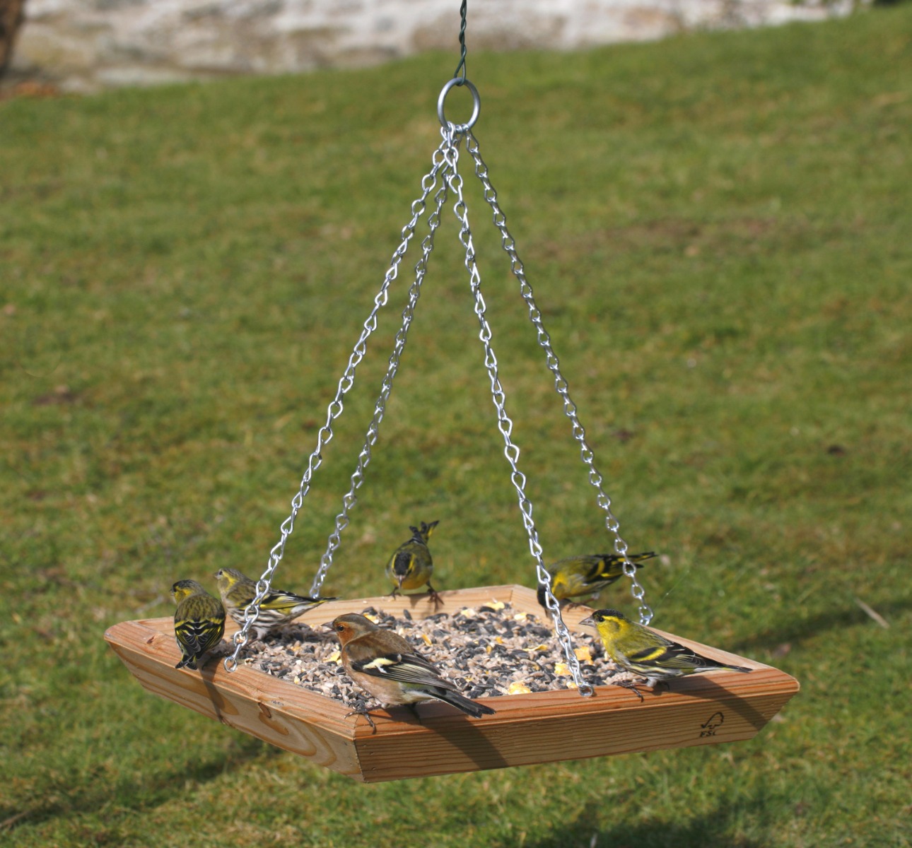 National Trust Hanging Bird Feeding Table