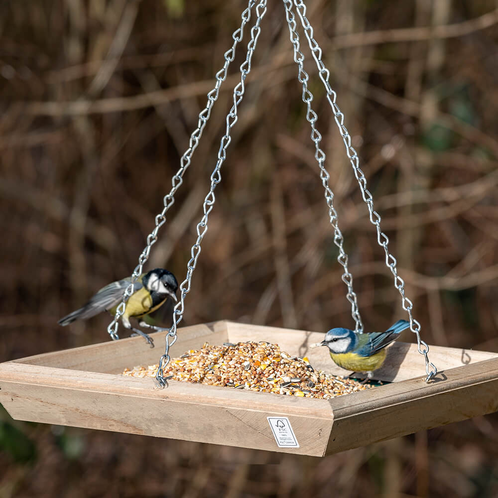 National Trust Hanging Bird Feeding Table