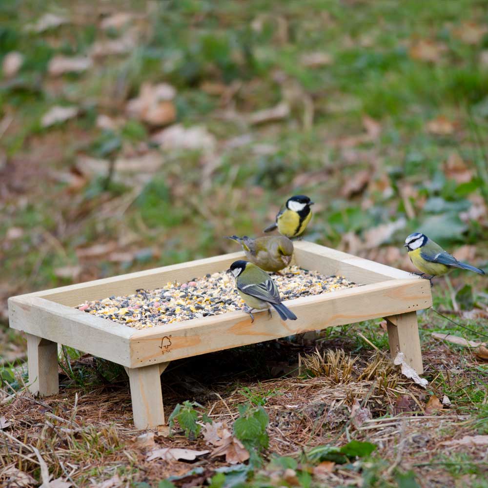 Ground Feeding Table