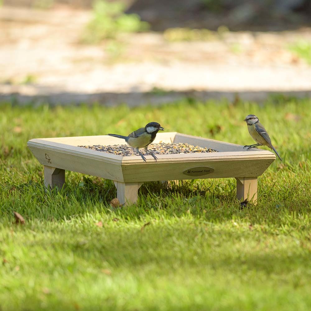 National Trust Ground Feeding Bird Table