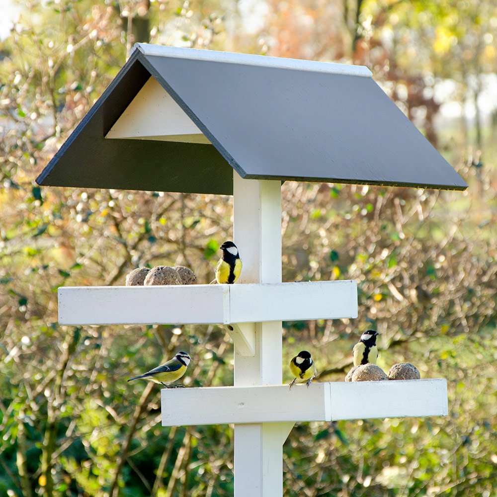 Brooklyn Bird Table