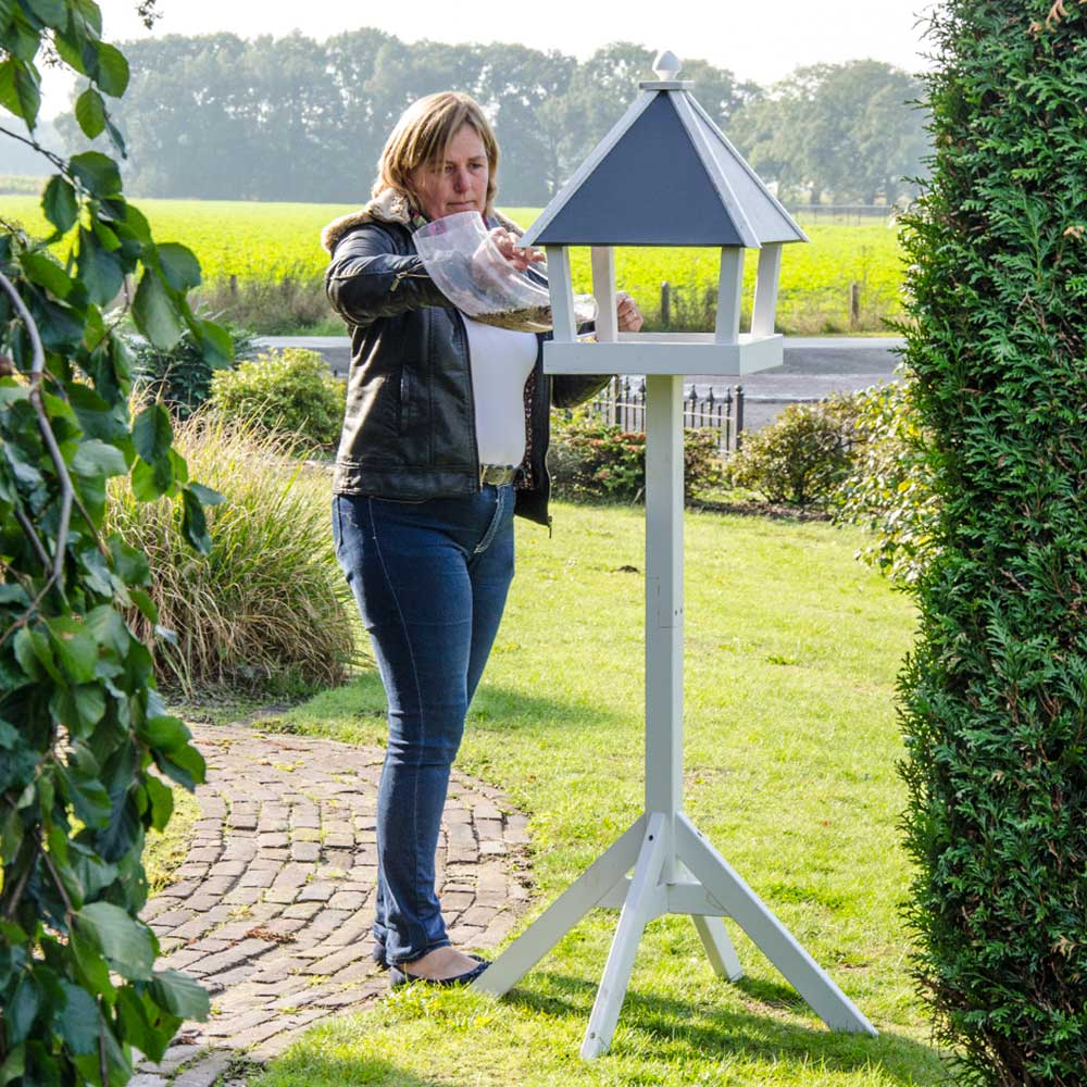 Fågelbord på stolpe Queens