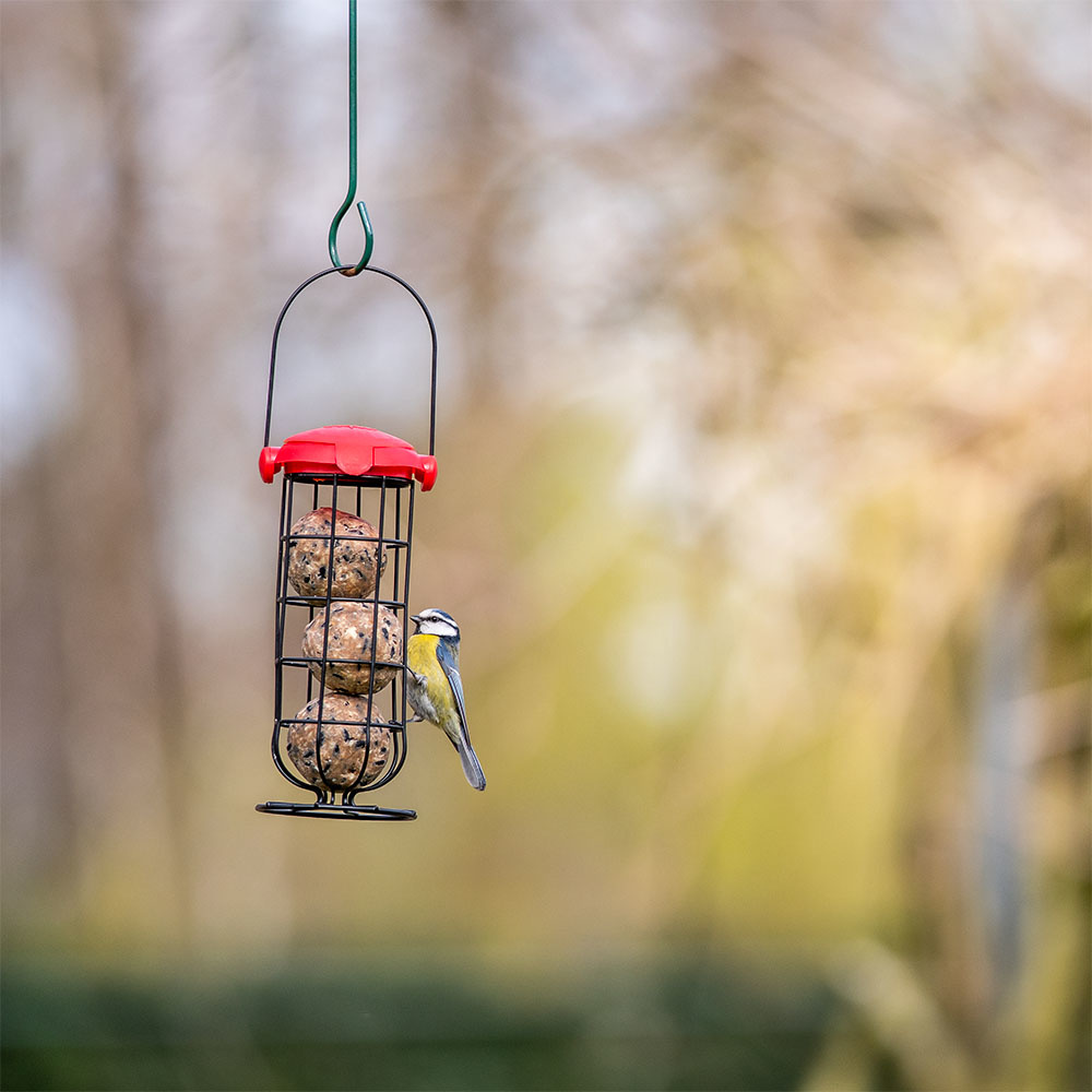 National Trust Kids Fat Ball Feeder EasyFlip