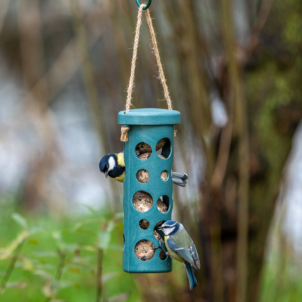 Rome Fat Ball Feeder - Blue