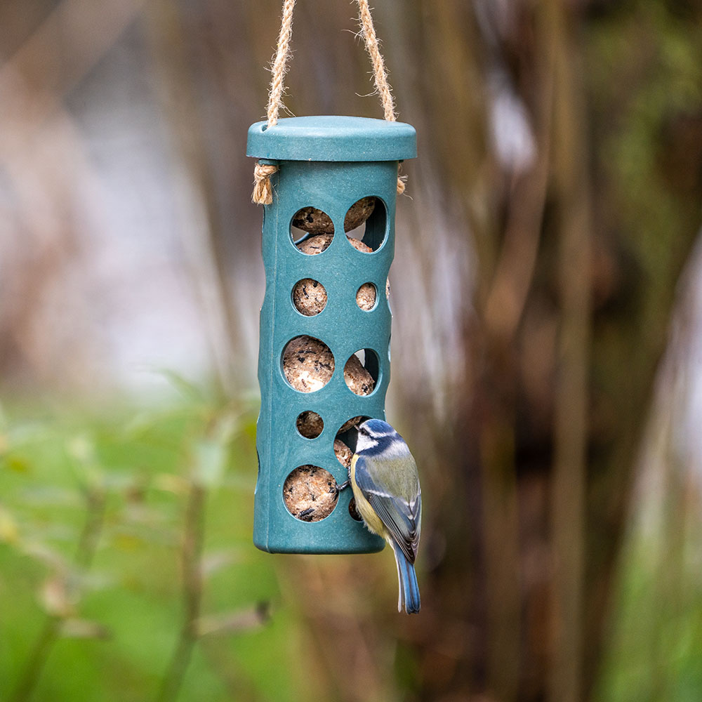 Rome Fat Ball Feeder - Blue