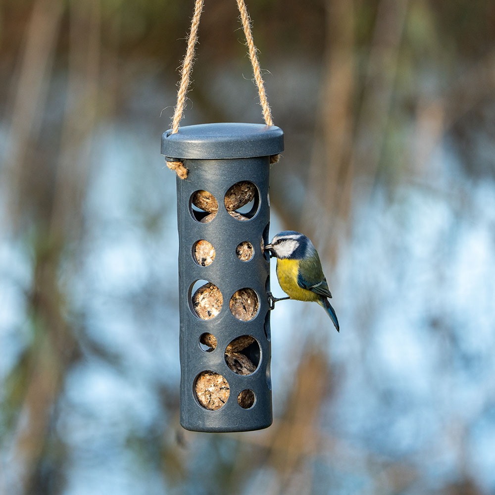 Rome Fat Ball Feeder - Anthracite