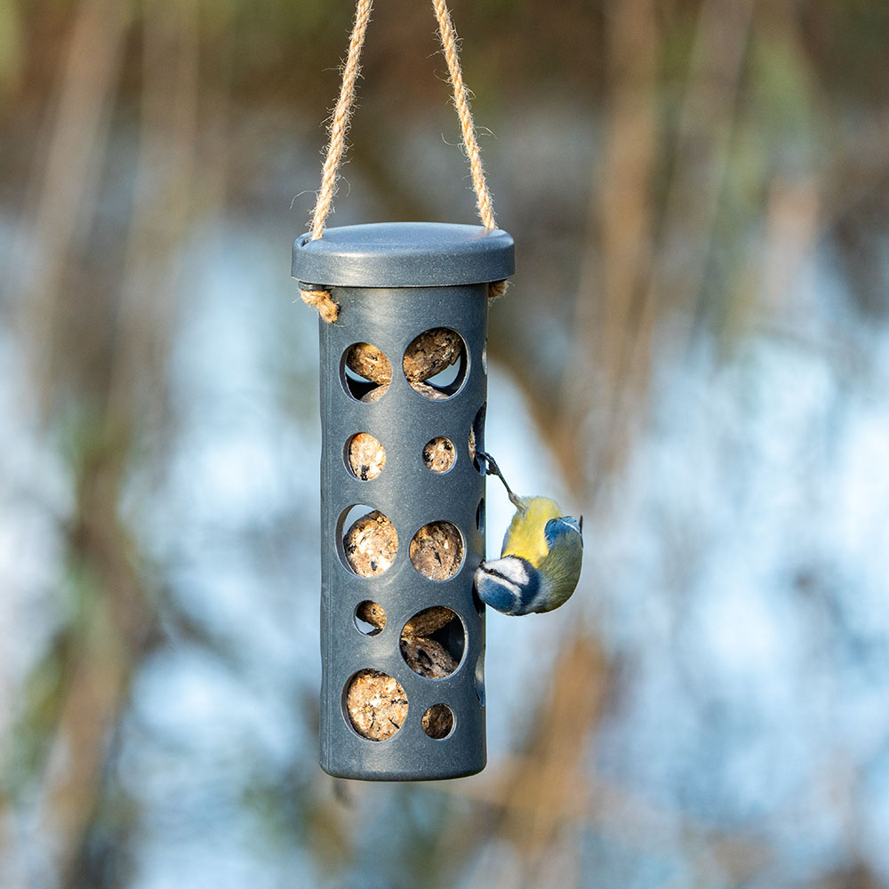 Rome Fat Ball Feeder - Anthracite