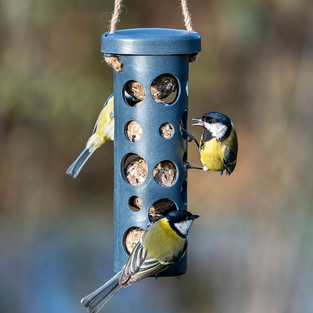 Rome Fat Ball Feeder - Anthracite