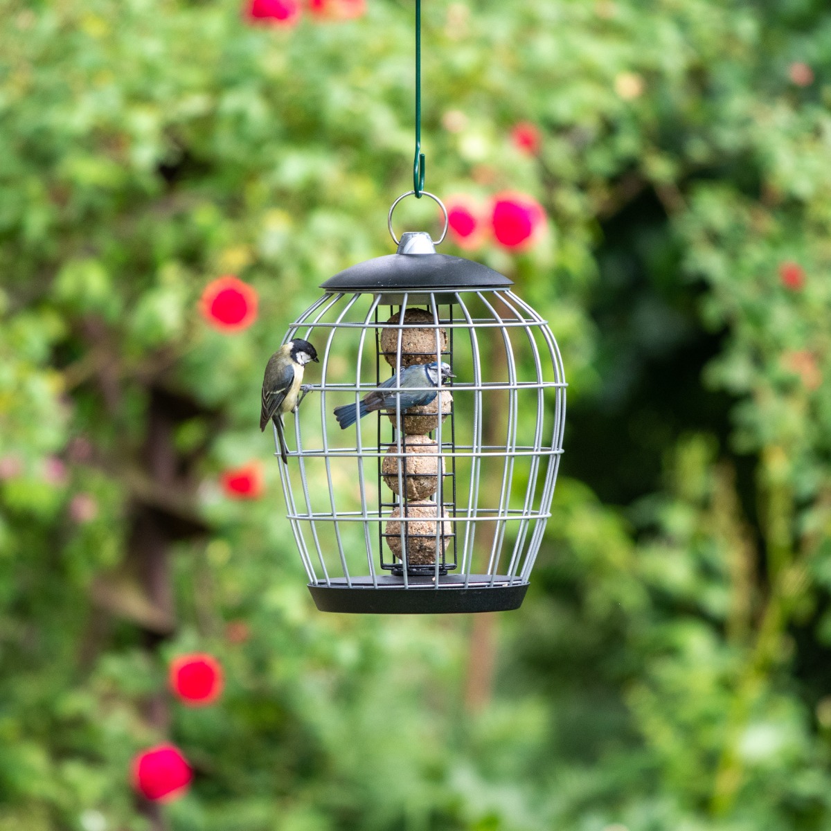 Silo et cage de protection pour boules de graisse avec protection Aura - Noir