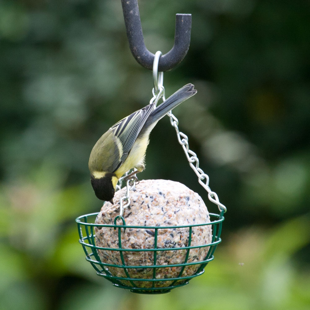 Giant Fat Ball Feeder (Green)