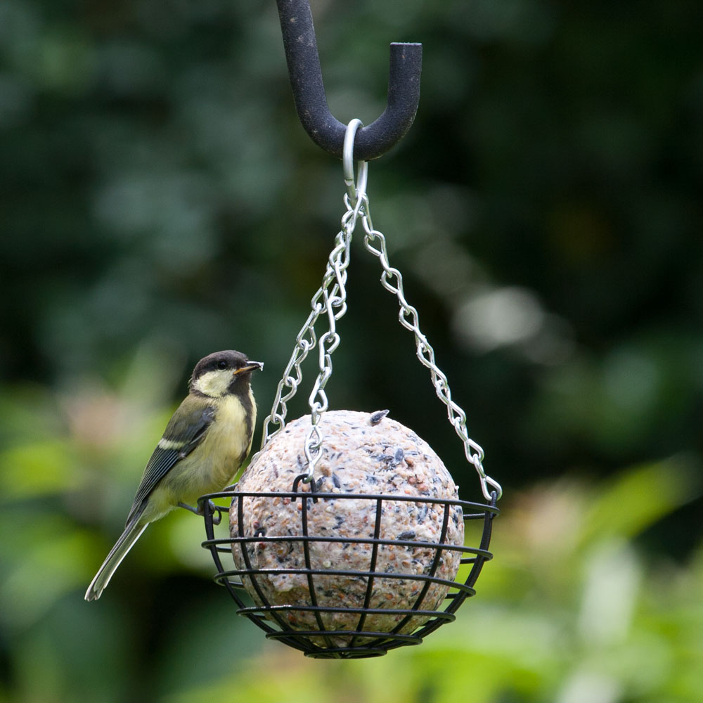 Giant Fat Ball Feeder (Black)