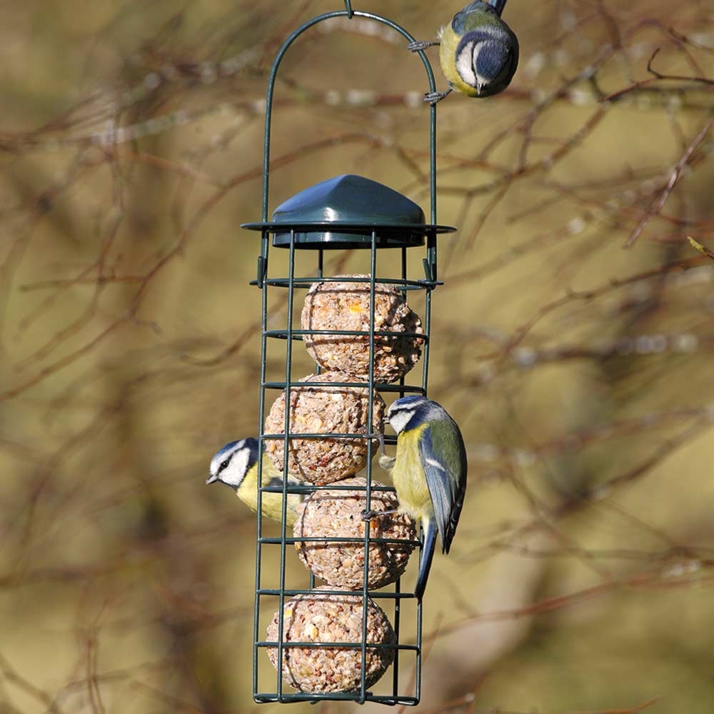 Upright Fat Ball Bird Feeder