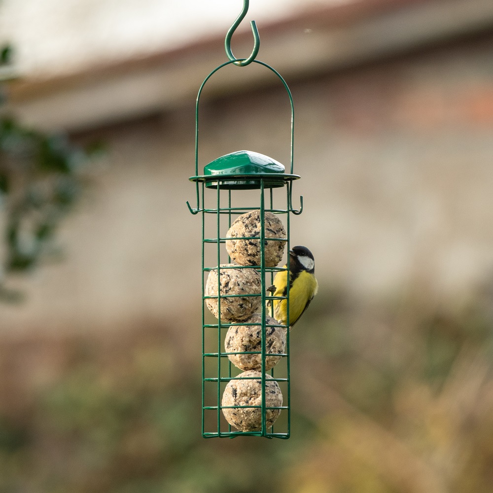 National Trust Upright Fat Ball Bird Feeder