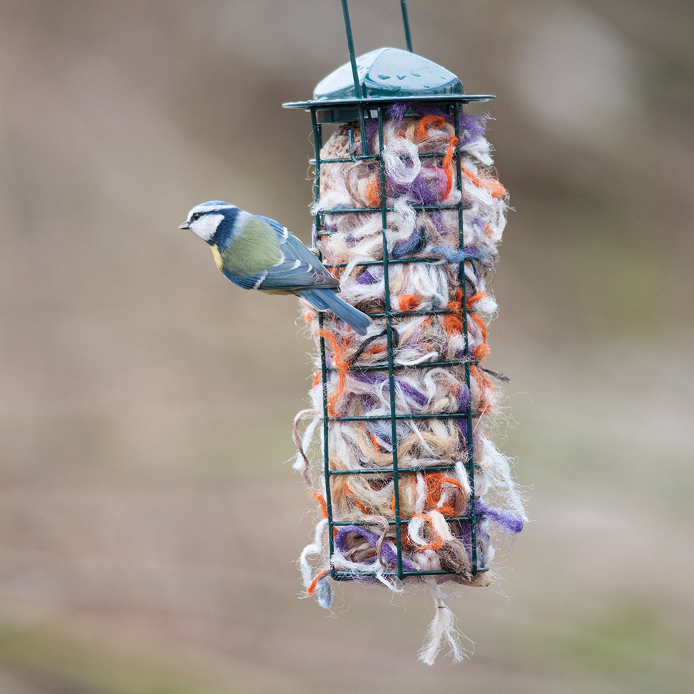 National Trust Upright Fat Ball Bird Feeder