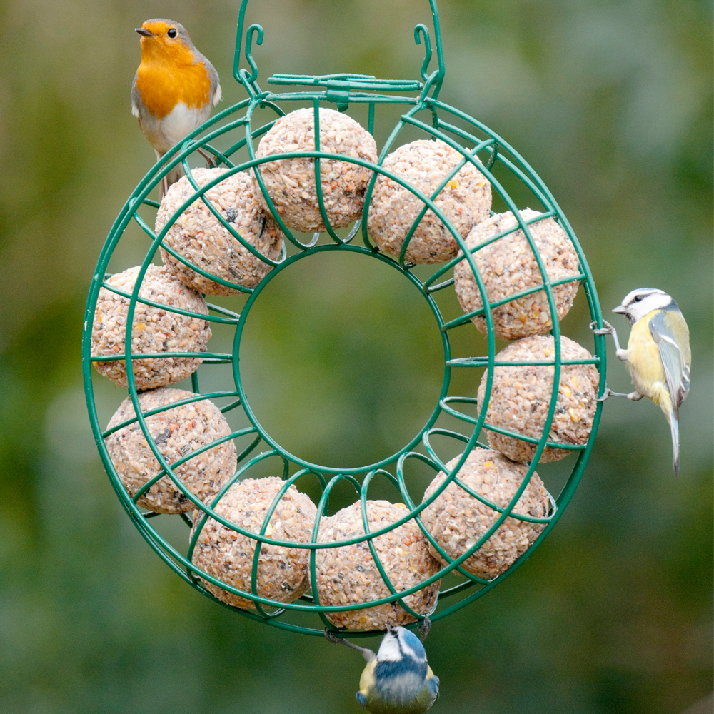 Fat Ball Feeding Ring